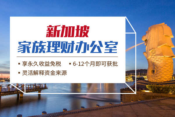 新加坡家办政策新解！